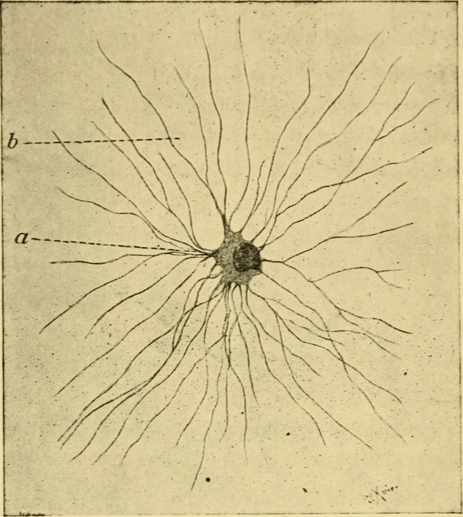 An illustration from The hygiene of mind, 1907, leaf 53