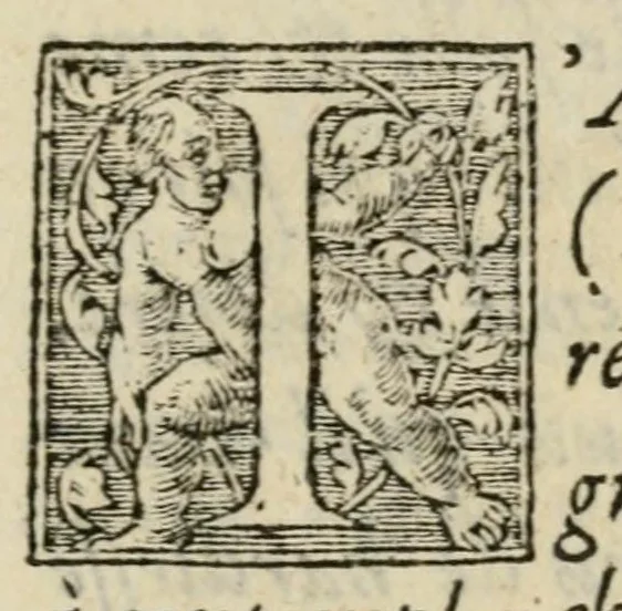 An illustration from Hymne triomphal sur l'entree et lovange dv tres-illustre & serenisime Prince Henry, esleu roy auguste de Pologne, grand duc de Lituanie : faicte à Paris le 14. iour de Septembre 1573 ..., 1573, leaf 11