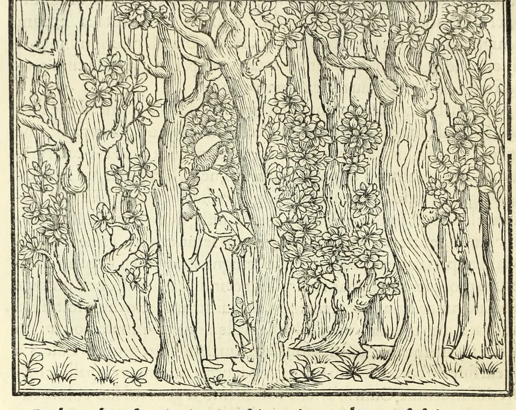 An illustration from Hypnerotomachia Poliphili : ubi humana omnia non nisi somnium esse docet atque obiter plurima scitu sane quam digna commemorat, leaf 18