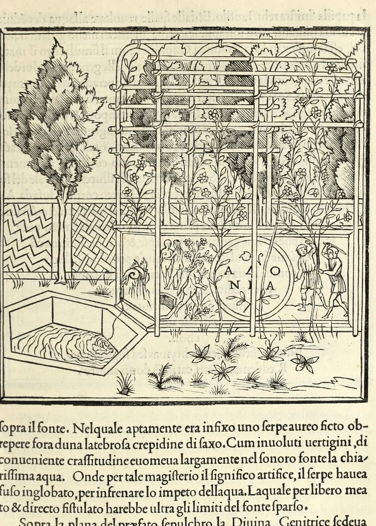 An illustration from Hypnerotomachia Poliphili : ubi humana omnia non nisi somnium esse docet atque obiter plurima scitu sane quam digna commemorat, leaf 369