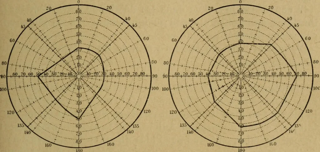 An illustration from Hypnotisme suggestion psychothérapie : avec considérations nouvelles sur l'hystérie, 1903, leaf 292