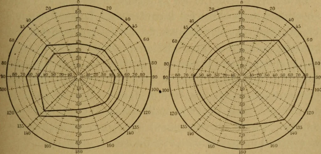 An illustration from Hypnotisme suggestion psychothérapie : avec considérations nouvelles sur l'hystérie, 1903, leaf 294