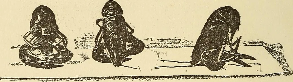 An illustration from Hypnotism and hypnotic suggestion; a scientific treatise on the uses and possibilities of hypnotism, suggestion and allied phenomena, 1900, leaf 41