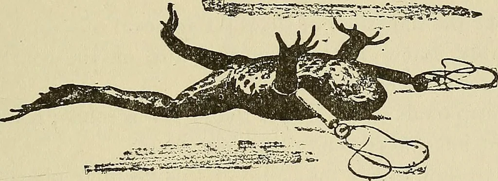 An illustration from Hypnotism and hypnotic suggestion. A scientific treatise on the uses and possibilities of hypnotism, suggestion and allied phenomena, 1900, leaf 50