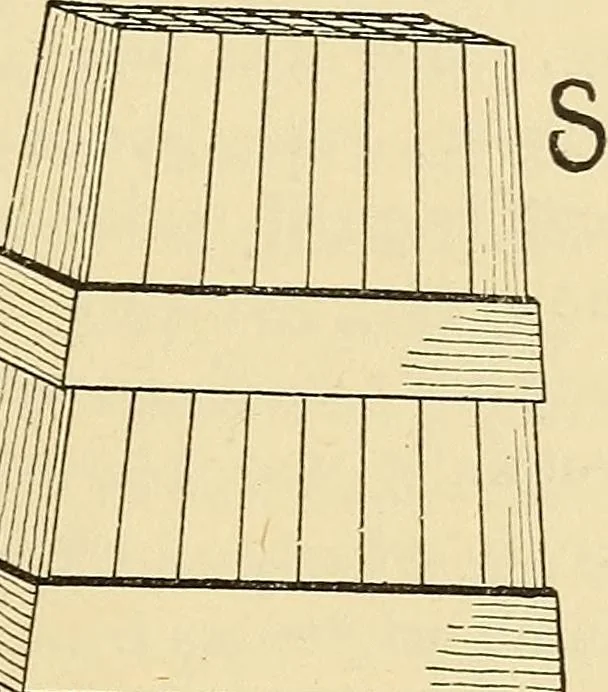 An illustration from Hypnotism, its facts, theories, and related phenomena;, 1893, leaf 122