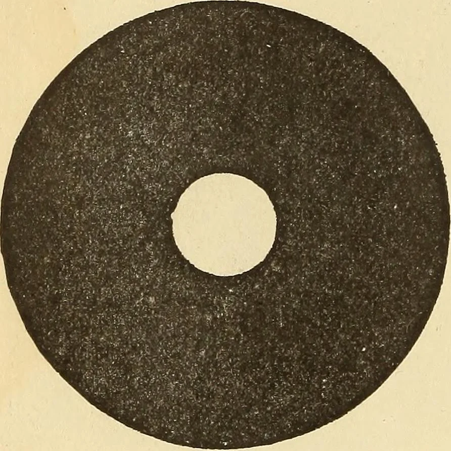 An illustration from Hypnotism, its facts, theories, and related phenomena;, 1893, leaf 19