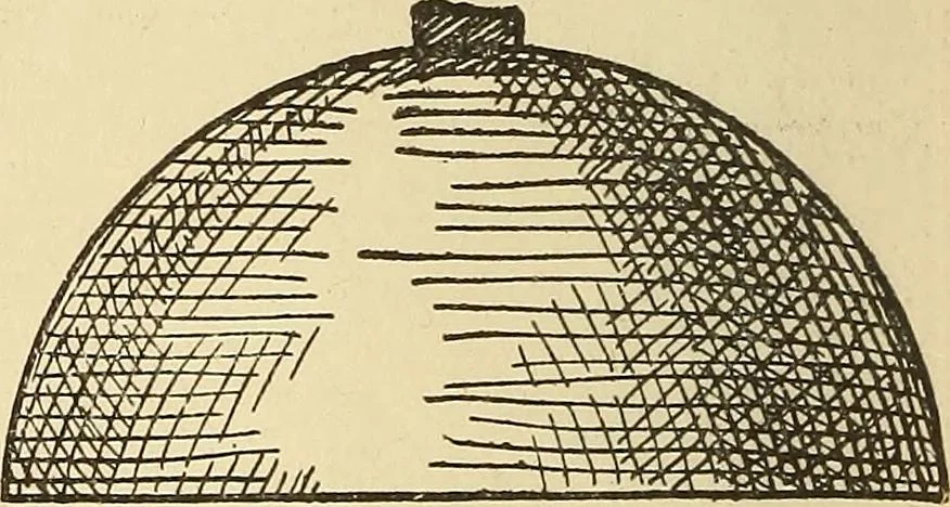 An illustration from Hypnotism, its facts, theories, and related phenomena;, 1893, leaf 19