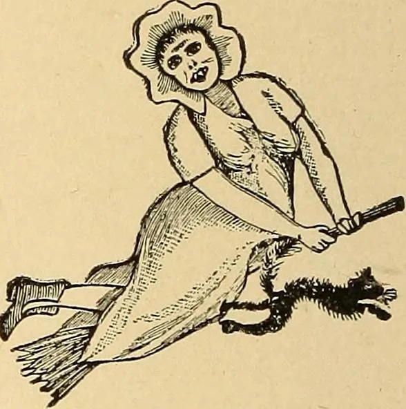 An illustration from Hypnotism, its facts, theories and related phenomena, with explanatory anecdotes, 1900, leaf 201