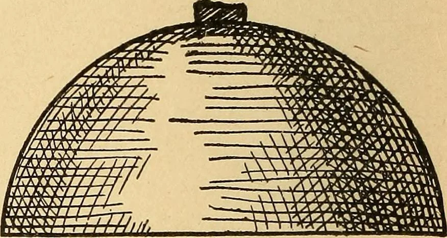 An illustration from Hypnotism, its facts, theories and related phenomena, with explanatory anecdotes, 1900, leaf 21