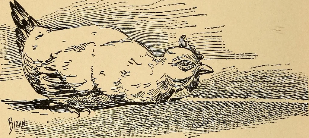 An illustration from Hypnotism, its facts, theories and related phenomena, with explanatory anecdotes, 1900, leaf 29