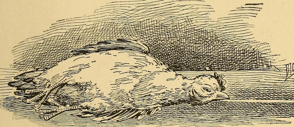 An illustration from Hypnotism, its facts, theories and related phenomena, with explanatory anecdotes, 1900, leaf 30