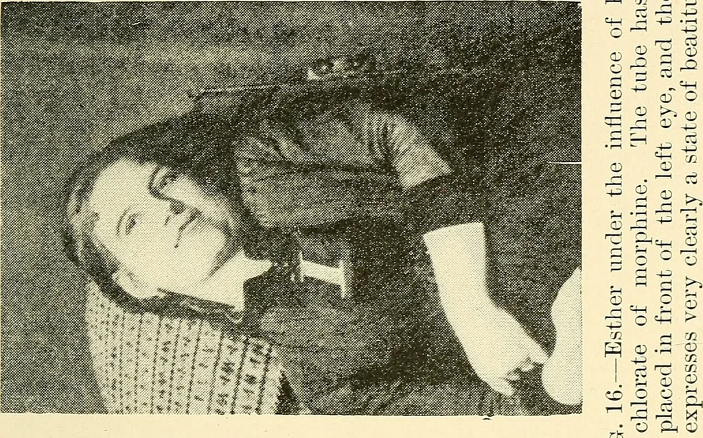An illustration from Hypnotism, mesmerism and the new witchcraft, 1896, leaf 128