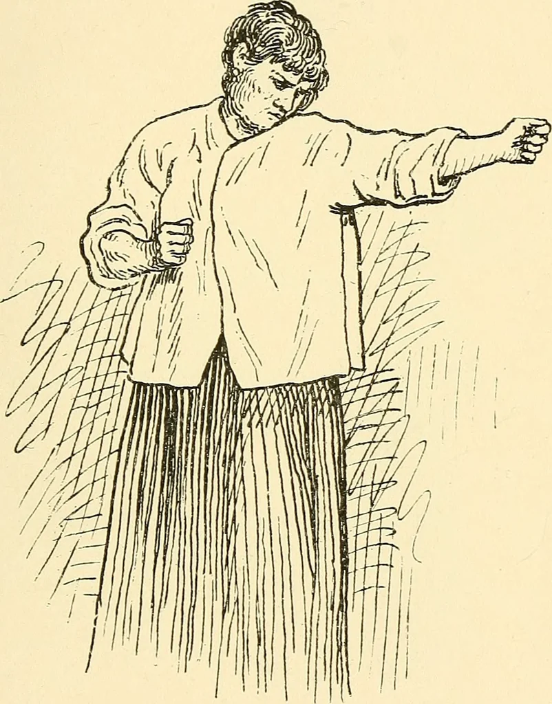 An illustration from Hypnotism, mesmerism and the new witchcraft, 1896, leaf 74