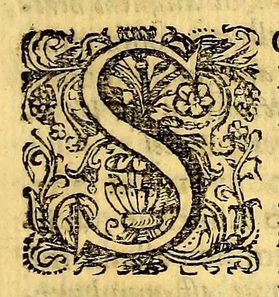 An illustration from Hypomnema apologeticum pro regali Academia Limensi in Lipsianam periodum. : Ad Limensem regium senatum: regios iudices: conscriptos senatores. Accedunt dissertatiunculae gymnasticæ palæstricæ, canonico-legales, aut promiscuæ: partim extemporaneæ, expolitæ, & vtiles; ceu res ipsa ostendet. Authore D.D. Didaco de Leon Pinelo .., 1648, leaf 273