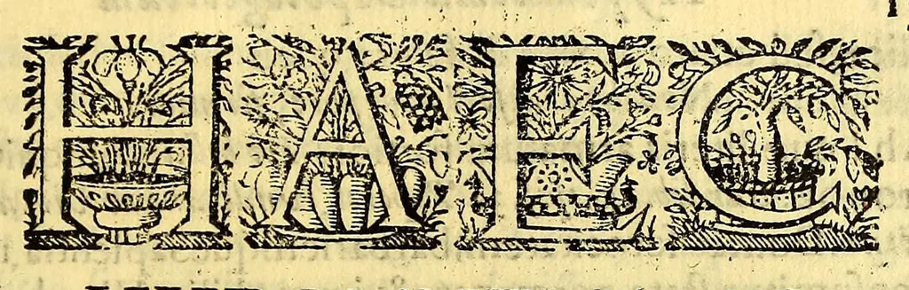 An illustration from Hypomnema apologeticum pro regali Academia Limensi in Lipsianam periodum. : Ad Limensem regium senatum: regios iudices: conscriptos senatores. Accedunt dissertatiunculae gymnasticæ palæstricæ, canonico-legales, aut promiscuæ: partim extemporaneæ, expolitæ, & vtiles; ceu res ipsa ostendet. Authore D.D. Didaco de Leon Pinelo .., 1648, leaf 369