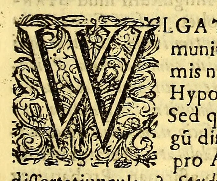 An illustration from Hypomnema apologeticum pro regali Academia Limensi in Lipsianam periodum. : Ad Limensem regium senatum: regios iudices: conscriptos senatores. Accedunt dissertatiunculae gymnasticæ palæstricæ, canonico-legales, aut promiscuæ: partim extemporaneæ, expolitæ, & vtiles; ceu res ipsa ostendet. Authore D.D. Didaco de Leon Pinelo .., 1648, leaf 369