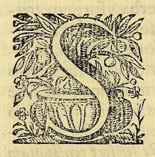 An illustration from Hypomnema apologeticum pro regali Academia Limensi in Lipsianam periodum. : Ad Limensem regium senatum: regios iudices: conscriptos senatores. Accedunt dissertatiunculae gymnasticæ palæstricæ, canonico-legales, aut promiscuæ: partim extemporaneæ, expolitæ, & vtiles; ceu res ipsa ostendet. Authore D.D. Didaco de Leon Pinelo .., 1648, leaf 378