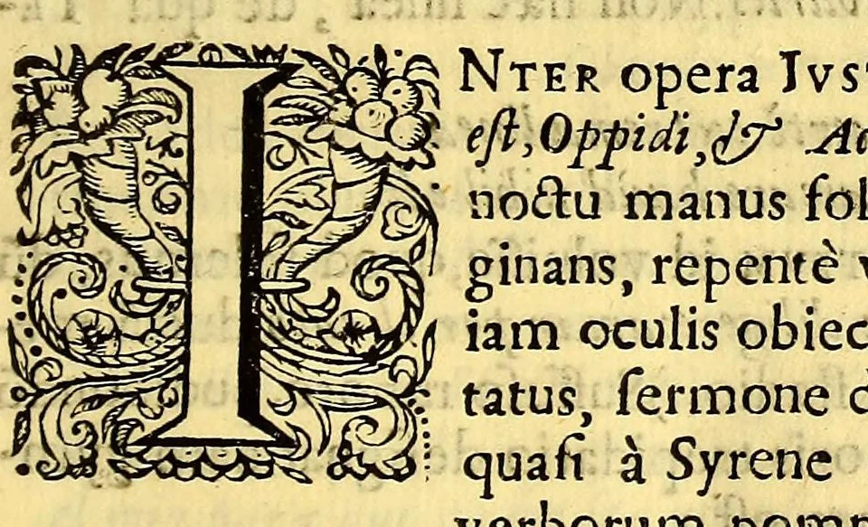 An illustration from Hypomnema apologeticum pro regali Academia Limensi in Lipsianam periodum. : Ad Limensem regium senatum: regios iudices: conscriptos senatores. Accedunt dissertatiunculae gymnasticæ palæstricæ, canonico-legales, aut promiscuæ: partim extemporaneæ, expolitæ, & vtiles; ceu res ipsa ostendet. Authore D.D. Didaco de Leon Pinelo .., 1648, leaf 39