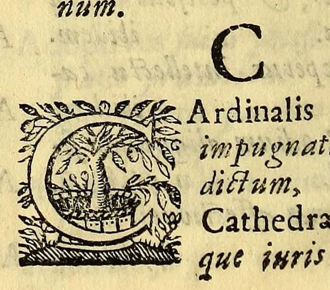 An illustration from Hypomnema apologeticum pro regali Academia Limensi in Lipsianam periodum. : Ad Limensem regium senatum: regios iudices: conscriptos senatores. Accedunt dissertatiunculae gymnasticæ palæstricæ, canonico-legales, aut promiscuæ: partim extemporaneæ, expolitæ, & vtiles; ceu res ipsa ostendet. Authore D.D. Didaco de Leon Pinelo .., 1648, leaf 390