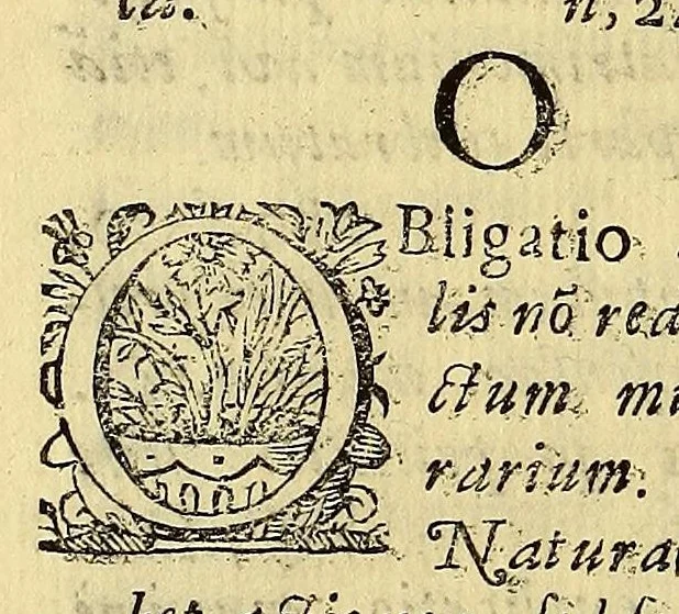 An illustration from Hypomnema apologeticum pro regali Academia Limensi in Lipsianam periodum. : Ad Limensem regium senatum: regios iudices: conscriptos senatores. Accedunt dissertatiunculae gymnasticæ palæstricæ, canonico-legales, aut promiscuæ: partim extemporaneæ, expolitæ, & vtiles; ceu res ipsa ostendet. Authore D.D. Didaco de Leon Pinelo .., 1648, leaf 406