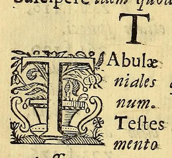 An illustration from Hypomnema apologeticum pro regali Academia Limensi in Lipsianam periodum. : Ad Limensem regium senatum: regios iudices: conscriptos senatores. Accedunt dissertatiunculae gymnasticæ palæstricæ, canonico-legales, aut promiscuæ: partim extemporaneæ, expolitæ, & vtiles; ceu res ipsa ostendet. Authore D.D. Didaco de Leon Pinelo .., 1648, leaf 414