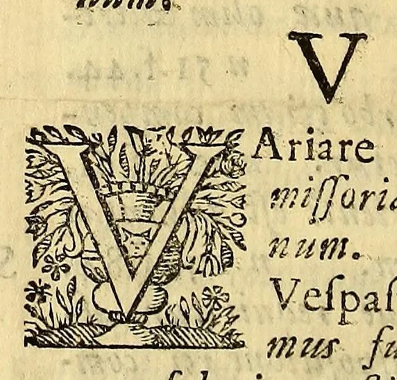 An illustration from Hypomnema apologeticum pro regali Academia Limensi in Lipsianam periodum. : Ad Limensem regium senatum: regios iudices: conscriptos senatores. Accedunt dissertatiunculae gymnasticæ palæstricæ, canonico-legales, aut promiscuæ: partim extemporaneæ, expolitæ, & vtiles; ceu res ipsa ostendet. Authore D.D. Didaco de Leon Pinelo .., 1648, leaf 414