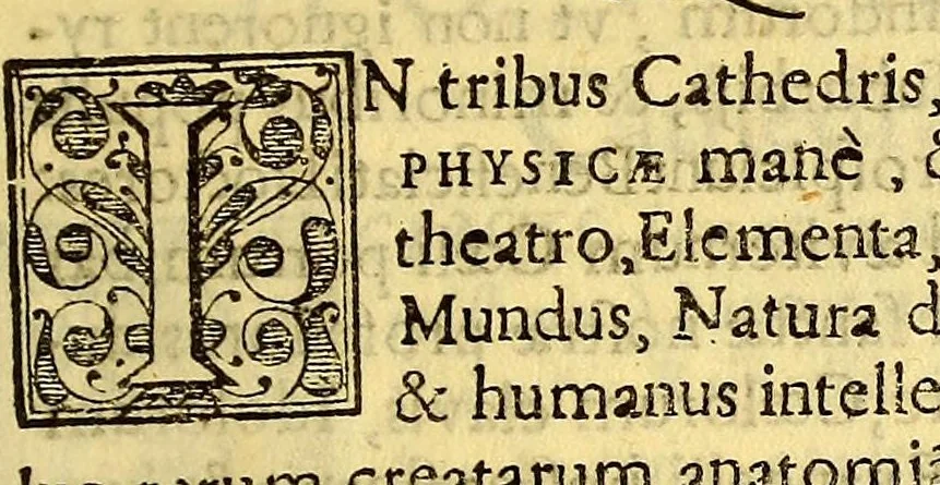 An illustration from Hypomnema apologeticum pro regali Academia Limensi in Lipsianam periodum. : Ad Limensem regium senatum: regios iudices: conscriptos senatores. Accedunt dissertatiunculae gymnasticæ palæstricæ, canonico-legales, aut promiscuæ: partim extemporaneæ, expolitæ, & vtiles; ceu res ipsa ostendet. Authore D.D. Didaco de Leon Pinelo .., 1648, leaf 49