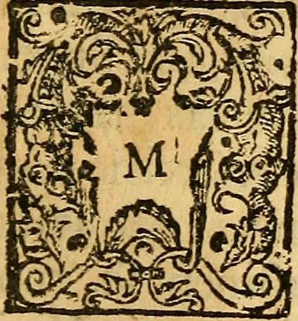 An illustration from Hypothesis ethike De officiis secundum naturæ jus : seu De moribus ad rationis normam conformandis doctrina. Unde casus omnes conscientiæ ... judicari possint. Ethnicorum simul & jure, praesertim civili, consultorum consensus ostenditur, principia item & rationes Hobbesii Malmesburiensis ad ethicam & politicam spectantes, quatenus huic hypothesi contradicere videantur, in examen veniunt ..., 1660, leaf 352