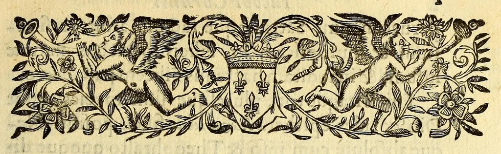 An illustration from Iac. Cornuti doctoris medici Parisiensis Canadensium plantarum, aliarúmque nondum editarum historia. : Cui adiectum est ad calcem enchiridion botanicum Parisiense, continens indicem plantarum, quæ in pagis, siluis, pratis, & montosis iuxta Parisios locis nascuntur, 1635, leaf 23