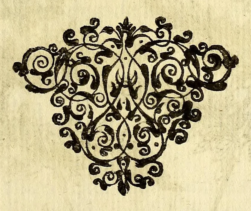 An illustration from Iac. Cornuti doctoris medici Parisiensis Canadensium plantarum, aliarúmque nondum editarum historia. : Cui adiectum est ad calcem enchiridion botanicum Parisiense, continens indicem plantarum, quæ in pagis, siluis, pratis, & montosis iuxta Parisios locis nascuntur, 1635, leaf 25