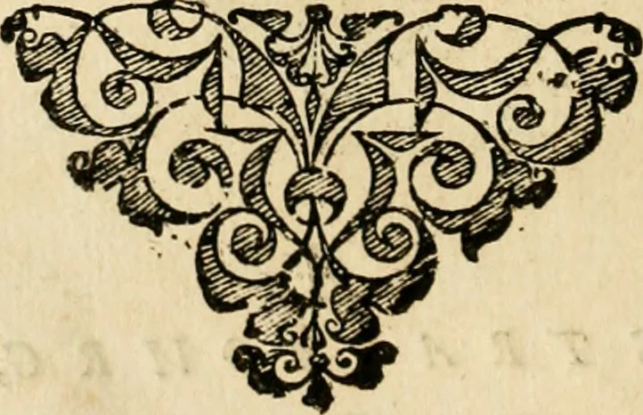 An illustration from Iacobi â Bruck Angermundt cogn. Sil. Emblemata moralia & bellica : nunc recens in lucem edita, 1615, leaf 127