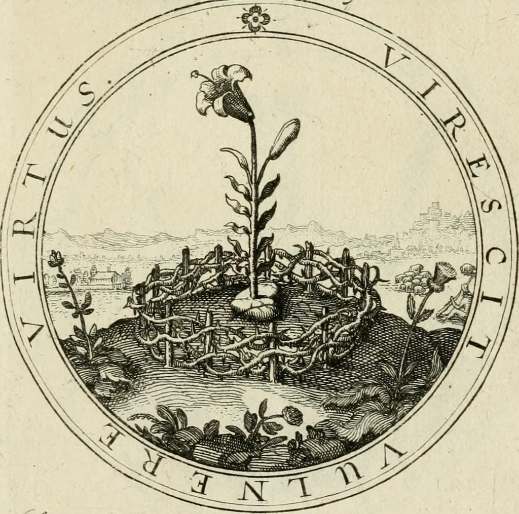 An illustration from Iacobi â Bruck Angermundt cogn. Sil. Emblemata moralia & bellica : nunc recens in lucem edita, 1615, leaf 16