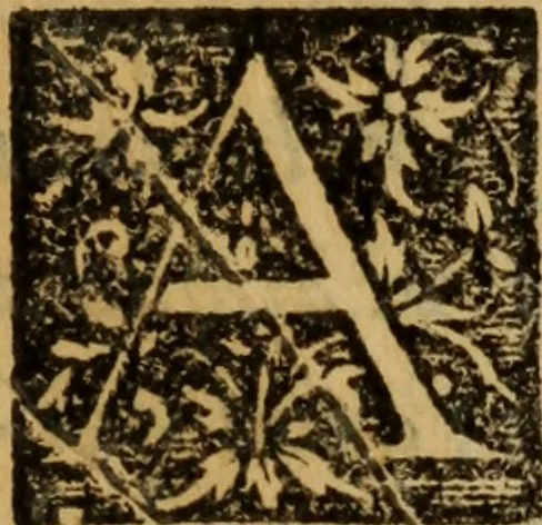 An illustration from Iacobi Bessoni De absoluta ratione extrahendi olea, & aquas è medicamentis simplicibus : accepta olim à quodam empirico, postea uero ab eodem Bessono locupletata, & rationibus experime[n]tisq[ue] confirmata, liber, 1559, leaf 6