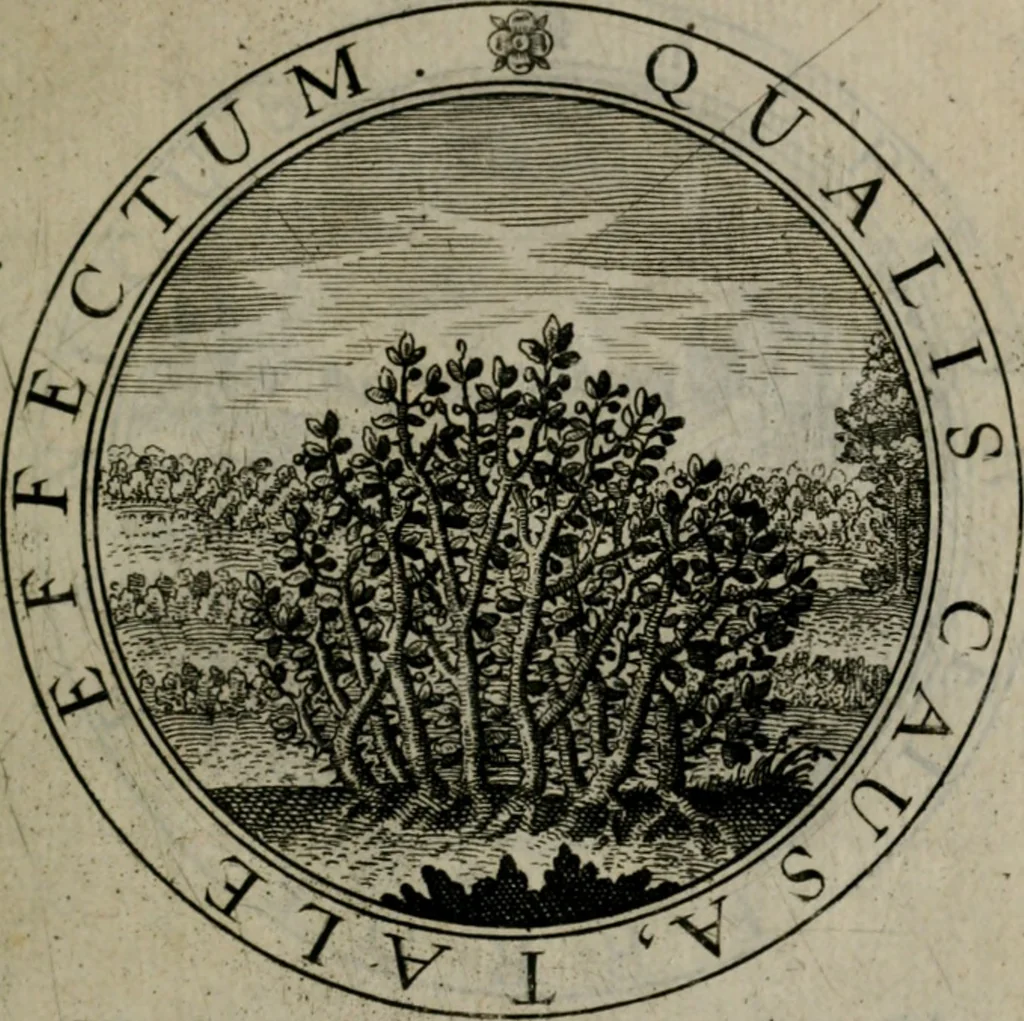 An illustration from Iacobi Bornitii I.C. Emblematum sacrorum et civilium miscellaneorum : sylloge prior [-posterior], 1659, leaf 70