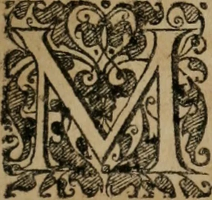 An illustration from Iacobi â Bruck Angermunt cogn. Emblemata Politica : Quibus ea, quæ ad principatum spectant, breviter demonstrantur, singuloru[m] verò explicatio fusius proponitur ; Opus novum, 1618, leaf 8