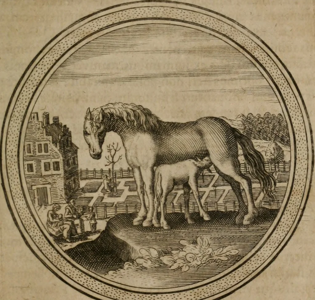 An illustration from Iacobi â Bruck Angermunt cogn. Emblemata Politica : Quibus ea, quæ ad principatum spectant, breviter demonstrantur, singuloru[m] verò explicatio fusius proponitur ; Opus novum, 1618, leaf 86