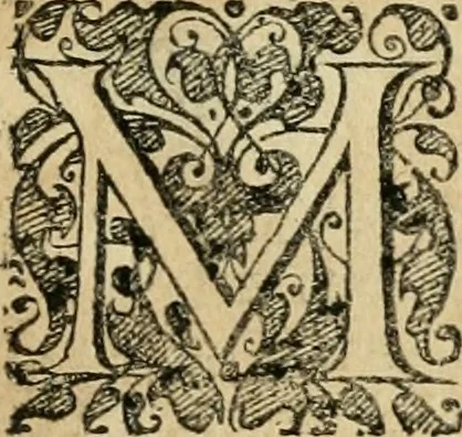 An illustration from Iacobi â Bruck Angermunt cogn. Emblemata politica : quibus ea, quae ad principatum spectant breviter demonstrantur singuloru[m] verò explicatio fusius proponitur : opus novum, 1618, leaf 6