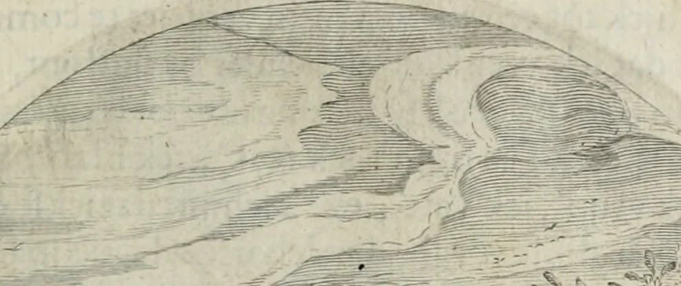 An illustration from Iacobi Catzii ... Silenus Alcibiades, sive Proteus:, 1618, leaf 102