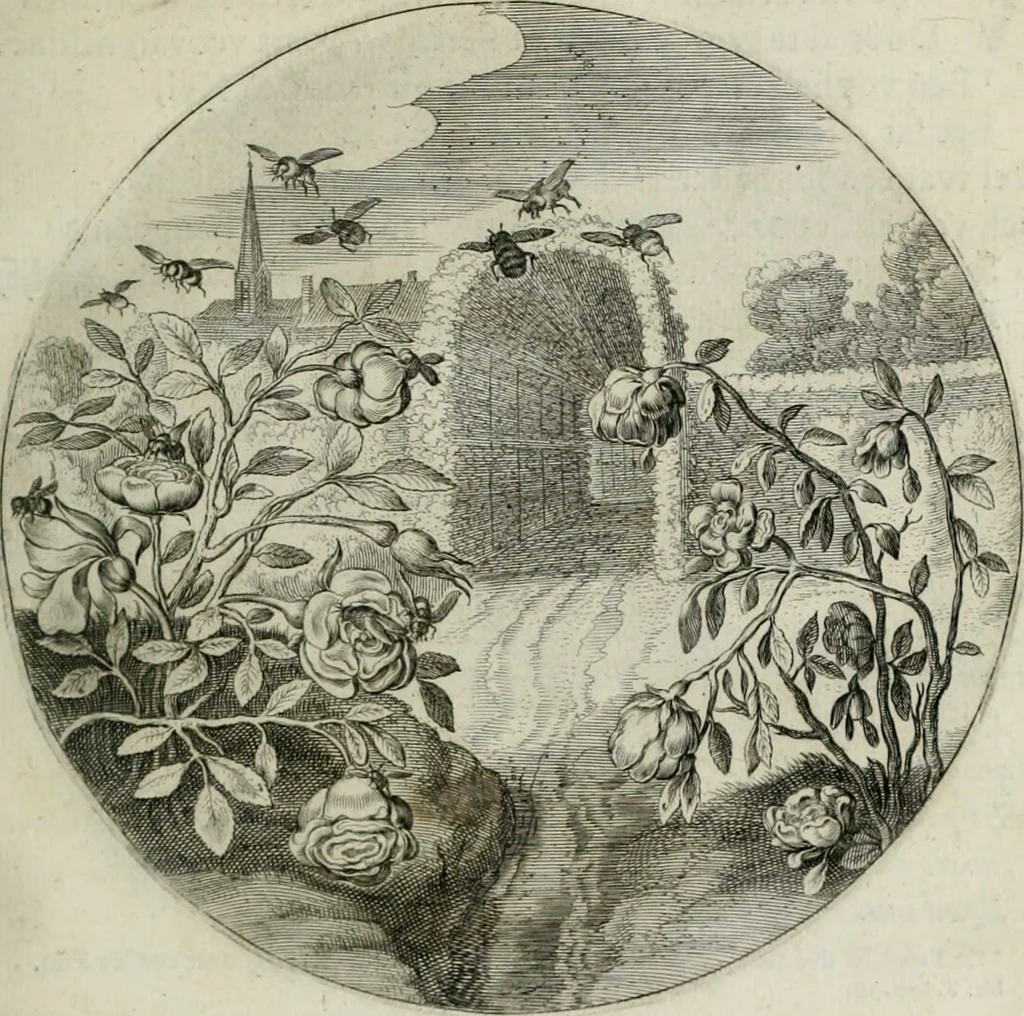 An illustration from Iacobi Catzii ... Silenus Alcibiades, sive Proteus:, 1618, leaf 106