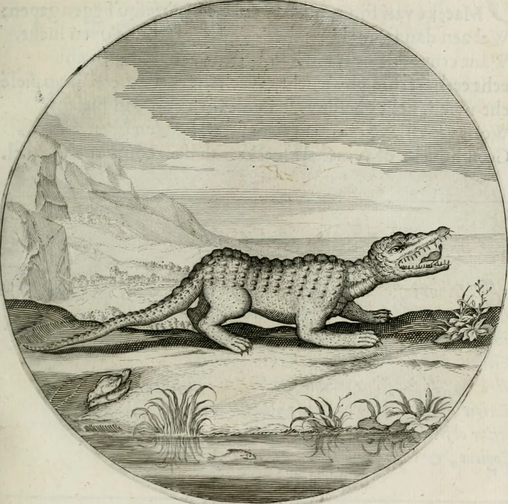 An illustration from Iacobi Catzii ... Silenus Alcibiades, sive Proteus:, 1618, leaf 108