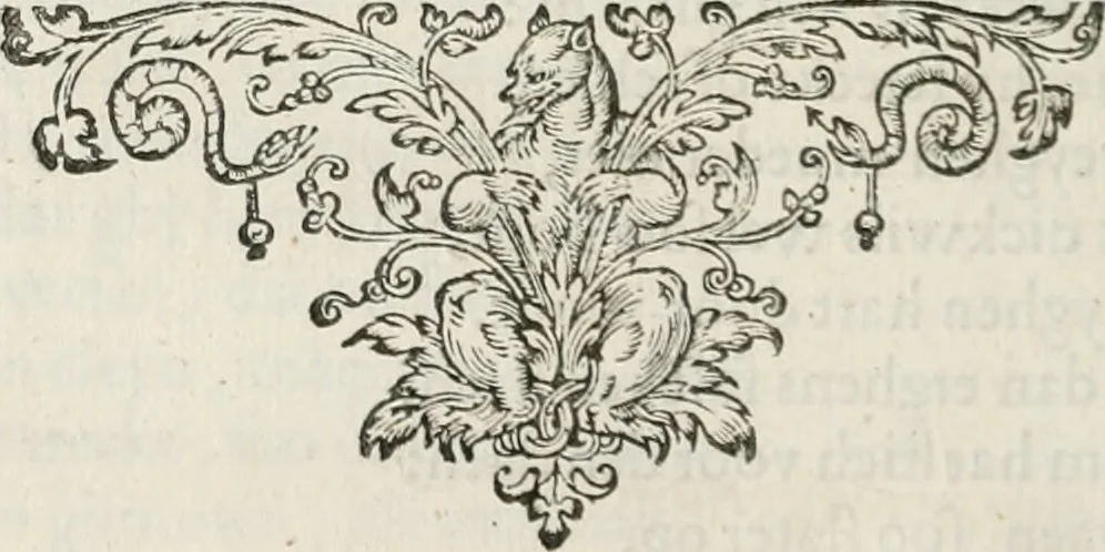 An illustration from Iacobi Catzii ... Silenus Alcibiades, sive Proteus:, 1618, leaf 149