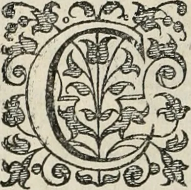 An illustration from Iacobi Catzii ... Silenus Alcibiades, sive Proteus:, 1618, leaf 163
