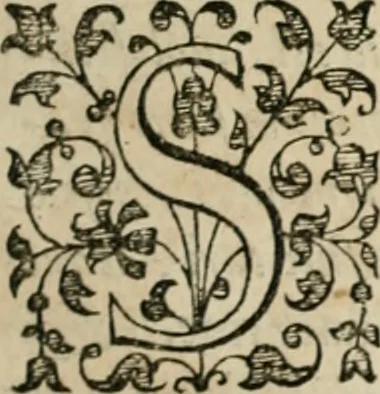 An illustration from Iacobi Catzii ... Silenus Alcibiades, sive Proteus:, 1618, leaf 18