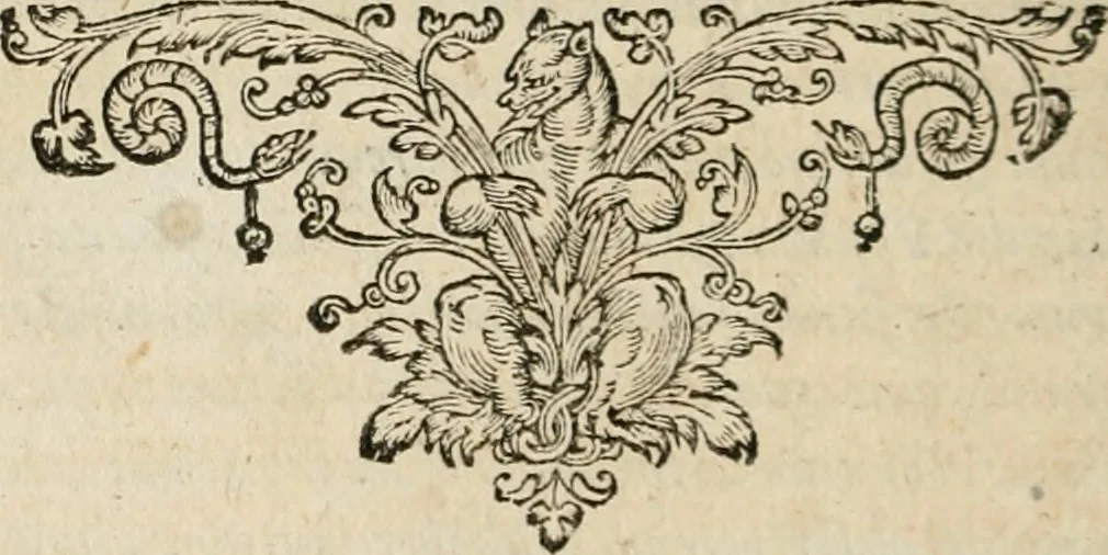 An illustration from Iacobi Catzii ... Silenus Alcibiades, sive Proteus:, 1618, leaf 23