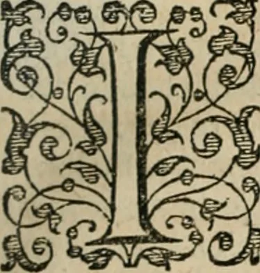 An illustration from Iacobi Catzii ... Silenus Alcibiades, sive Proteus:, 1618, leaf 24