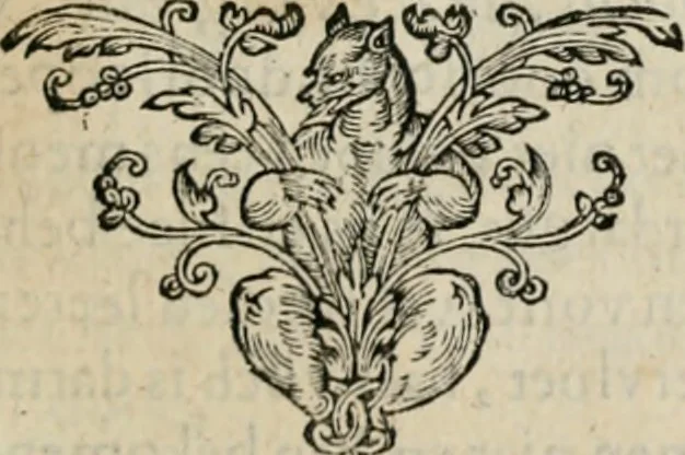 An illustration from Iacobi Catzii ... Silenus Alcibiades, sive Proteus:, 1618, leaf 376