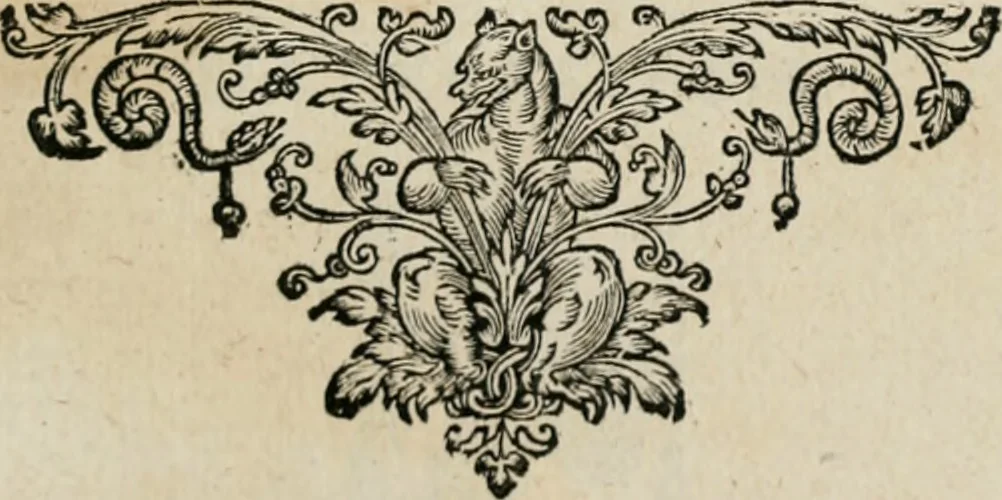 An illustration from Iacobi Catzii ... Silenus Alcibiades, sive Proteus:, 1618, leaf 380