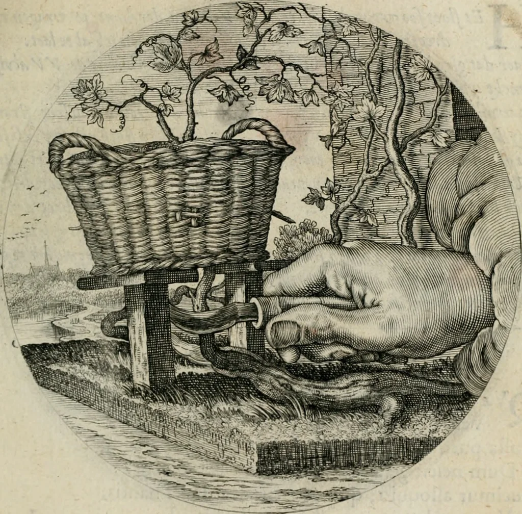 An illustration from Iacobi Catzii ... Silenus Alcibiades, sive Proteus:, 1618, leaf 412