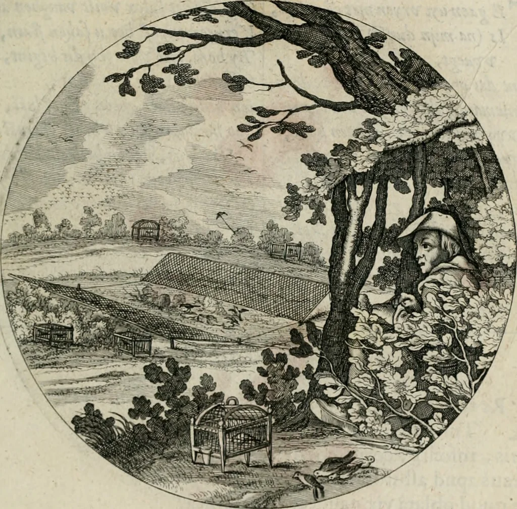 An illustration from Iacobi Catzii ... Silenus Alcibiades, sive Proteus:, 1618, leaf 428