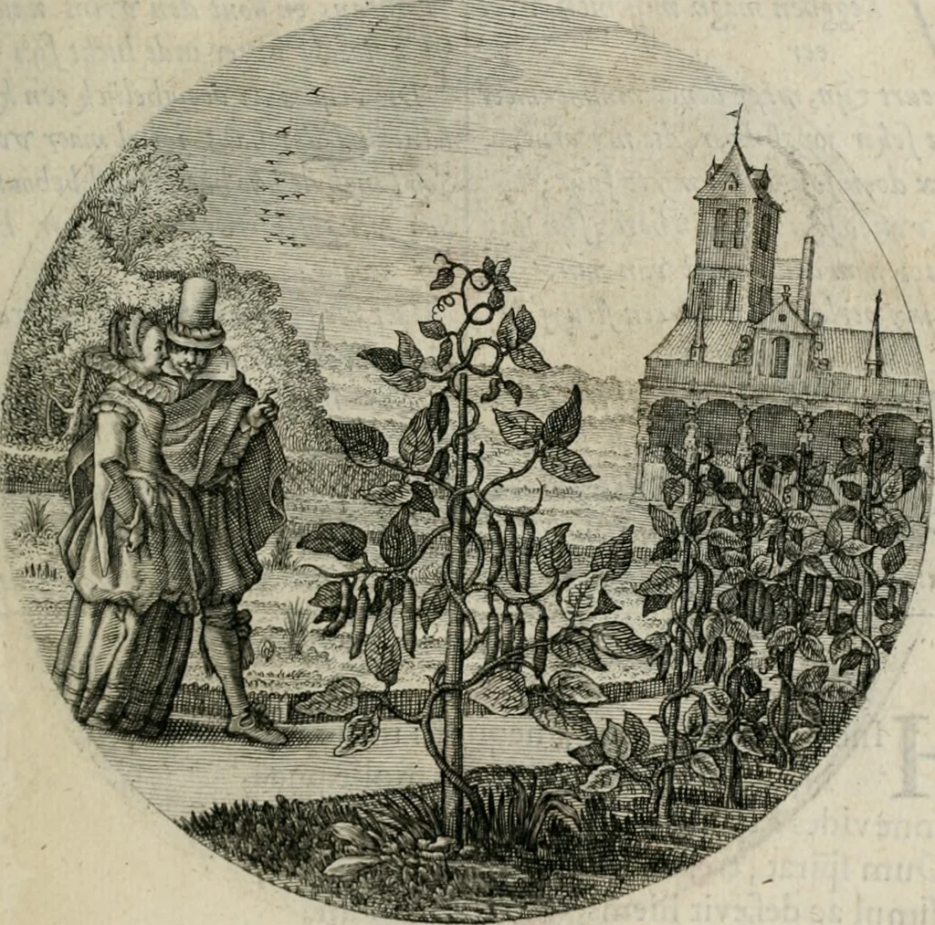 An illustration from Iacobi Catzii ... Silenus Alcibiades, sive Proteus:, 1618, leaf 442
